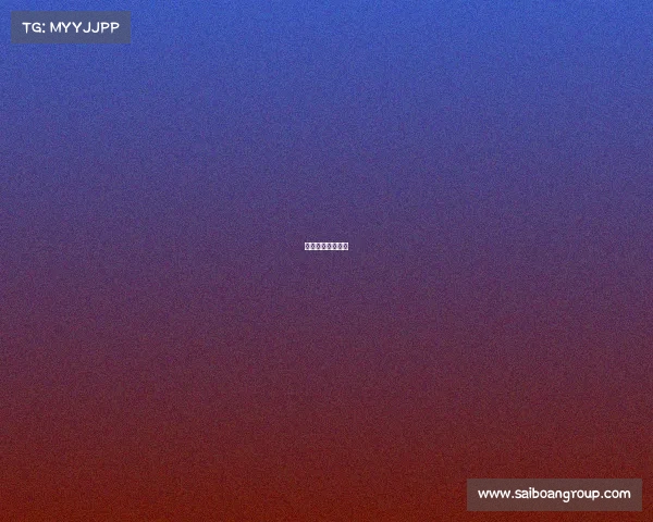 世界女排最新战况